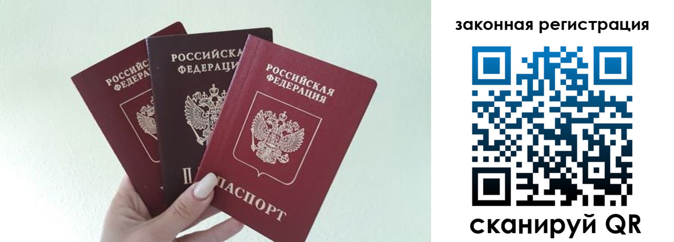 прописка 2025 в Бабаево